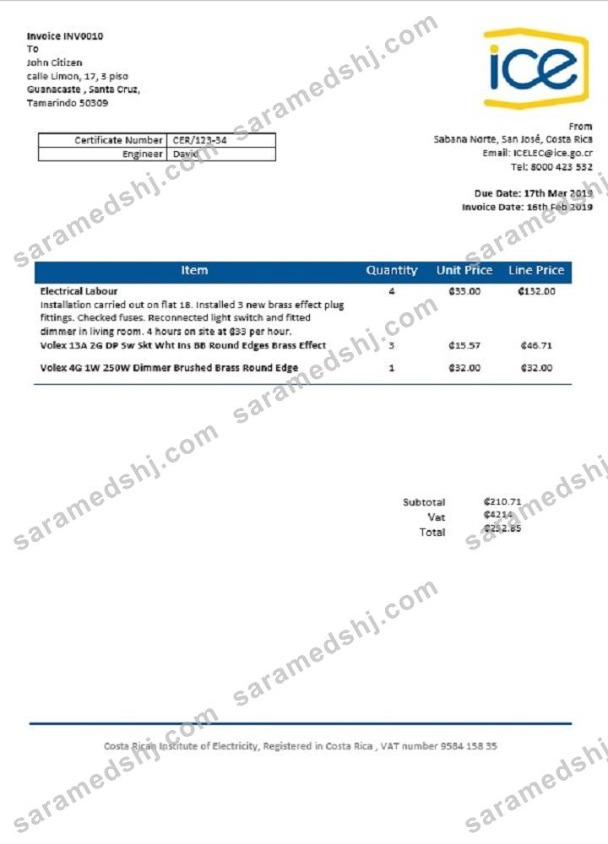 Costa Rica Costa Rican Institute of Electricity utility bill